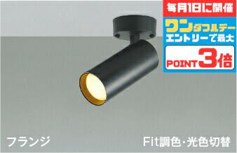 【ワンダフルデーポイント3倍】スポットライト 屋内用 階段 廊下 トイレ 内玄関 ※工事必要 天井・壁面取付可 指定の角度まで傾斜天井可 電球色・温白色・昼白色切替 調光可(別売調光器対応) 散光