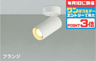 【ワンダフルデーポイント3倍】スポットライト 屋内用 階段 廊下 トイレ 内玄関 ※工事必要 天井・壁面取付可 指定の角度まで傾斜天井可 白熱灯100W相当 散光
