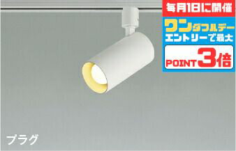 【ワンダフルデーポイント3倍】スポットライト 屋内用 ダクトレール取付 白熱灯60W相当 散光
