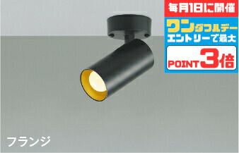 【ワンダフルデーポイント3倍】スポットライト 屋内用 階段 廊下 トイレ 内玄関 ※工事必要 天井・壁面取付可 指定の角度まで傾斜天井可 白熱灯60W相当 散光