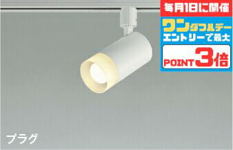 【ワンダフルデーポイント3倍】スポットライト 屋内用 ダクトレール取付 白熱灯100W相当 散光