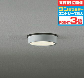 【マラソンこちらの商品はポイント5倍！】シーリングライト 洋風 ※工事必要 屋内屋外兼用 エクステリア アウトドア 壁 廊下 階段 トイレ 玄関 外灯 防雨型 軒下専用 白熱灯60W相当 電球色(2700K)