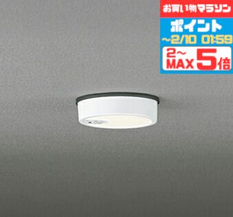 【マラソンずっとポイント2倍】シーリングライト 防犯 人感センサー付き ON/OFF型 軒下専用 洋風 ※工事必要 屋内屋外兼用 エクステリア アウトドア 壁 廊下 階段 トイレ 玄関 外灯 防雨型 軒下専用 白熱灯60W相当 電球色(2700K)