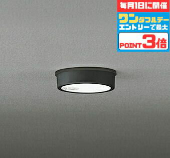 【マラソンずっとポイント2倍】シーリングライト 防犯 人感センサー付き ON/OFF型 軒下専用 洋風 ※工事必要 屋内屋外兼用 エクステリア アウトドア 壁 廊下 階段 トイレ 玄関 外灯 防雨型 軒下専用 白熱灯60W相当 昼白色(5000K)