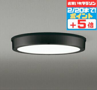 【マラソンずっとポイント2倍】シーリングライト 洋風 ※工事必要 屋内屋外兼用 エクステリア アウトドア 壁 廊下 階段 トイレ 玄関 外灯 防雨型 軒下専用 FCL30W相当 昼白色(5000K)