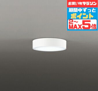 【マラソンずっとポイント2倍】シーリングライト 壁面取付可 洋室・リビング・ダイニング 4.5畳以下・小型 ※工事必要 指定の角度まで傾斜天井可 白熱灯60W相当 昼白色(5000K)