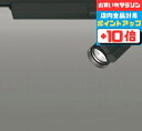 【お買い物マラソン全品ポイント10倍】スポットライト ダクトレール用 調光・調色 CDM-T35W相当 シンプル Bluetooth調光 配光16〜47° アル...