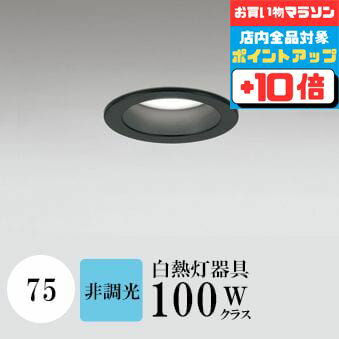 ڤ㤤ʪޥ饽ʥݥ10ܡۥ饤 75 (5000K) Ǯ100W ֥å ɬ SB(ⵤ...