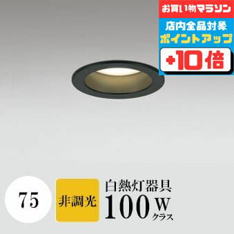 ڤ㤤ʪޥ饽ʥݥ10ܡۥ饤 75 ŵ忧(2700K) Ǯ100W ֥å ɬ SB(ⵤ...