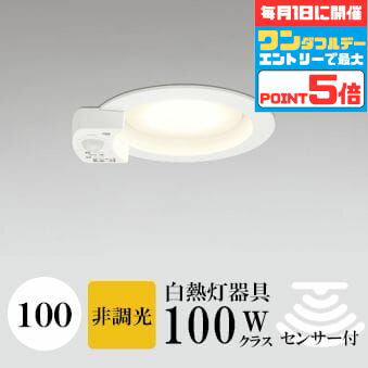 ڤ㤤ʪޥ饽ʥݥ10ܡۥ饤 100 ŵ忧(2700K) Ǯ100W ۥ磻 ɬ SB(...