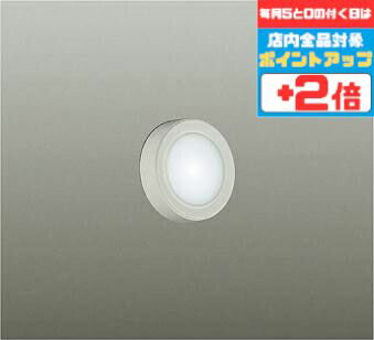 Rakuten - 【15日ポイント最大5倍】ブラケットライト 拡散パネル付 洋風 屋内用 天井面・傾斜面取付可 昼白色(5000K) ※工事必要