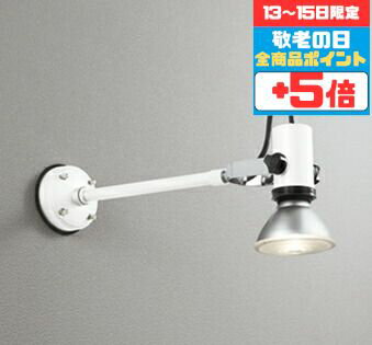 【13〜15日ポイント5倍!】スポットライト ブラケットライト ※工事必要 壁面専用 屋内屋外兼用 電球別売