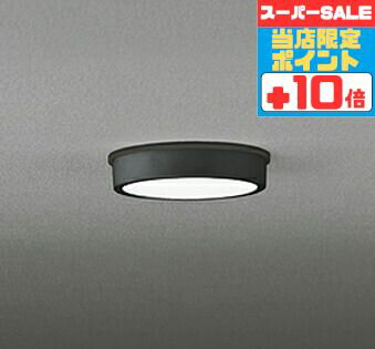 【スーパーSALEポイント10倍】シーリングライト 洋風 ※工事必要 屋内屋外兼用 エクステリア アウトドア 壁 廊下 階段 トイレ 玄関 外灯 防雨型 軒下専用 白熱灯100W相当 昼白色(5000K)