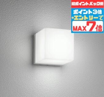 【ポイントバック祭P3倍】ブラケットライト 防水パッキンレス 洋風 屋内屋外兼用 天井取付可 昼白色(5000K) ※工事必要
