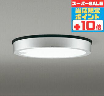 【スーパーSALEポイント10倍】シーリングライト 防犯 人感センサー付き ON/OFF型 軒下専用 洋風 ※工事必要 屋内屋外兼用 エクステリア アウトドア 壁 廊下 階段 トイレ 玄関 外灯 防雨型 軒下専用 FCL30W相当 昼白色(5000K)