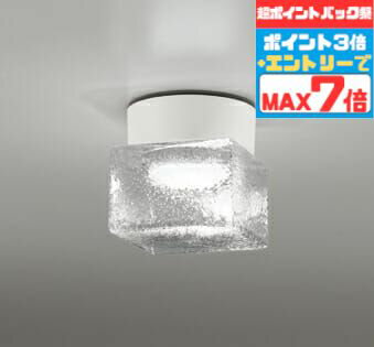 【ポイントバック祭P3倍】ブラケットライト 気泡 バスルーム 洋風 屋内屋外兼用 防湿対応 一般浴室可 天井面・傾斜面取付可 昼白色(5000K) ※工事必要