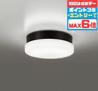 【6日まで300円OFFクーポン】ブラケットライト 洋風 屋内屋外兼用 防湿対応 一般浴室可 天井面・傾斜面取付可 昼白色(5000K) ※工事必要