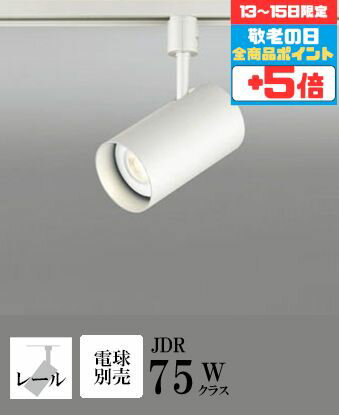 【13〜15日ポイント5倍!】スポットライト ブラケットライト 壁面取付可 屋内用 工事orダクト JDR75W相..