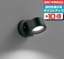 【店内全品P10倍&2点以上ご購入で5%OFF】スポットライト ブラケットライト 拡散 ※工事必要 壁面専用 人感センサー付き 屋内屋外兼用 白熱灯60W相当 ...
