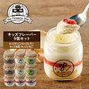 キッズフレーバーセット 9個(キッズチョコ2個×キッズレモン2個×キッズ抹茶2個×キッズいちご3個）