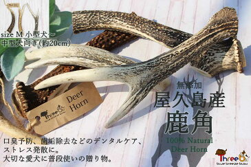 国産無添加 屋久島産鹿角【小型犬〜中型犬向け Mサイズ 約20cm】deerhorn-m　鹿角