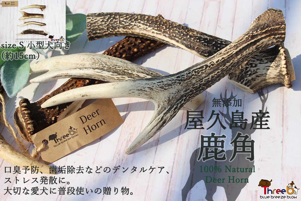 国産無添加 屋久島産鹿角【小型犬向け　Sサイズ　約15cm】deerhorn-s　鹿角