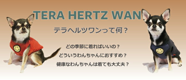 [SSから3L/FBM/FBL]2021秋冬新作ドッグウェア 【テラヘルツワン・ディディベアボアタンク】（3色）12363[犬服]