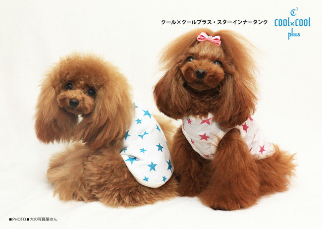 SALE クークチュール セール クールクールプラス スターインナータンク 0028 クール加工＋防虫加工のダブル効果 全2色 SS-3Lサイズ ST-LTサイズ FBM,FBLサイズ