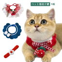 猫 首輪 猫首輪 つけ襟 コットン さくらんぼ 蝶ネクタイ ねこ首輪 犬首輪 いぬ首輪 おしゃれ ねこ 鈴 チェリー 安全 かわいい 可愛い 子猫 成猫 子犬 ...