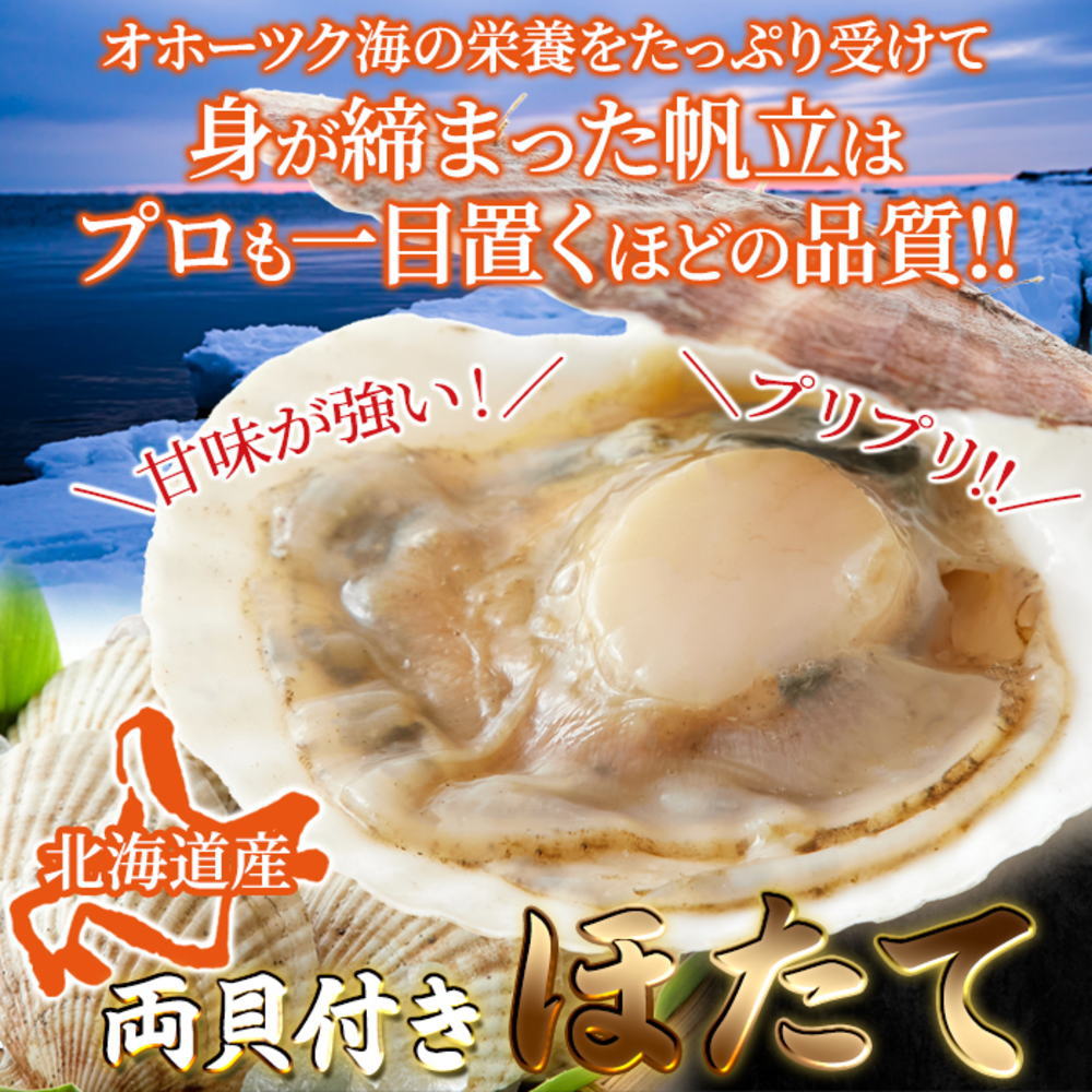 【ギフト】産地直送 北海道オホーツク産両貝付きほたて 3kg バーベキューにおすすめ？ 甘味が強いワンランク上の美味しさ
