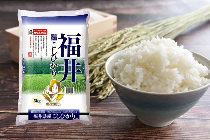 【着後レビューで割引クーポン配布中】福井県産こしひかり 5kg/ 米 白米 5kg 送料無料 岩手県産 お米 玄米 保存食 高級 保存米 米 送料無料