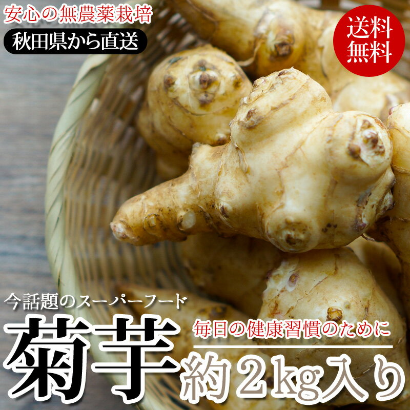 【完全無農薬栽培】国産 生菊芋2kg 12月～2月発送 秋田県産100％ スーパーフード イヌリン 天然のインスリン きくいも キクイモ 1キロ 2キロ 送料無料