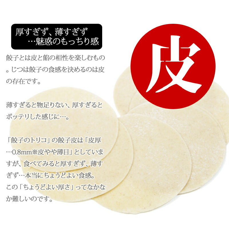 【宇都宮 直送】餃子 50個 餃子のトリコ 保存料不使用 着色料不使用 国産野菜のみ使用 冷凍餃子 ぎょうざ 本格 にんにく 簡単 まとめ買い ビール お取り寄せ グルメ おつまみ 生餃子 ギフト 母の日 父の日 お中元 お歳暮 敬老の日 送料無料 3