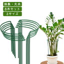 園芸用支柱 ささえ 支柱 【8本セット】花 植物サポート 家庭菜園 園芸用品 ガーデニング 植栽 ジョイント不要 【8本セット】花 観葉植物 フラワーガード 背...