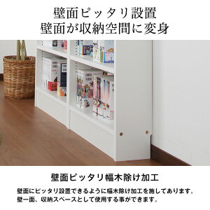 本棚奥行17cm薄型天井つっぱり本棚「愛書家」本体
