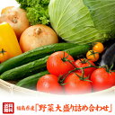 野菜セット 送料無料 福島県産 季節