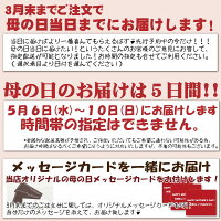 母の日ギフト2018選べる銀座のアジサイ18種母の日ギフトジューンブライド花火凛花ホッピングサイダーコットンキャンディダンスパーティマジカルレボリューション5号鉢