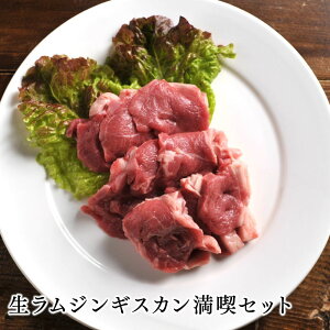 【送料無料】ラム肉 ジンギスカン 生ラムジンギスカン満喫セット　北海道のお肉屋...