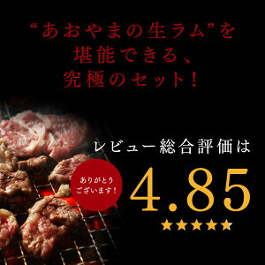 【送料無料】ラム肉 ジンギスカン 生ラムジンギスカン満喫セット　北海道のお肉屋...