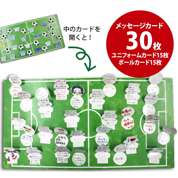 色紙 「学校色紙（サッカー）」プレゼント 寄せ書き 記念品 色紙額 大人数 卒業 部活 先生