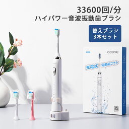 アドリック 電動歯ブラシ 【 在庫処分 5,980円→2,980円 】 電動歯ブラシ 音波 音波振動歯ブラシ 替えブラシ 3本付属 歯ブラシ ハブラシ USB 充電式 口臭ケア オーラルケア 歯磨き 防水 1400mah 55日間使用 ケアモード5種類 2分間スマートタイマー 口内ケア 携帯用 デンタルケア 大人用 Adoric