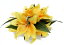 フラダンス衣装　髪飾り　プルメリア　花飾り　イベント　フラ アレンジ　ヘアクリップ KC-019　イエロー　黄