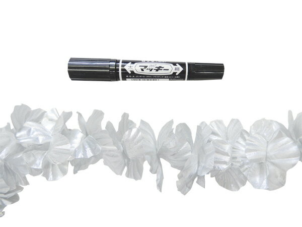 �ե���󥹰������쥤���ϥ磻���־��ꡡ���٥�ȡ��ե� �ϥ磻����쥤���ե��쥤���쥤��W-55 �������ɥ쥤������С�