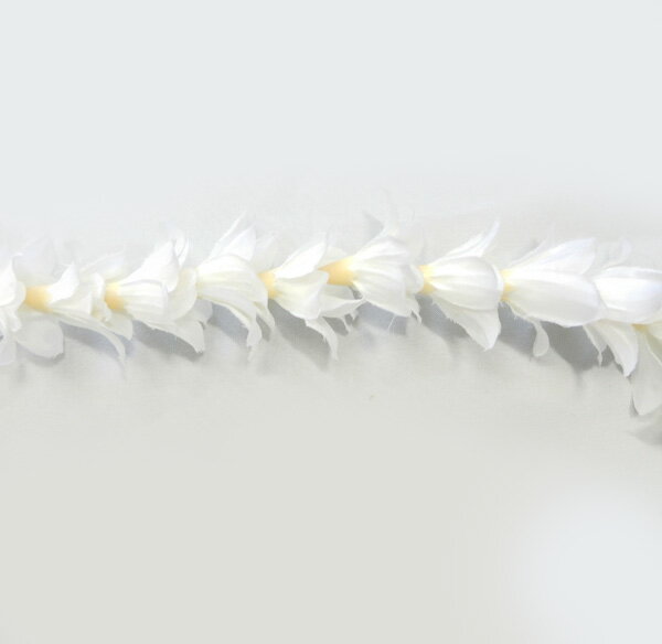 �ե���󥹰������쥤���ϥ磻���־��ꡡ���٥�ȡ��ե顡�ϥ磻����쥤���ե��쥤 ���󥰥쥤��WL-01 ���塼�֥��������󥰥쥤���ۥ磻�ȡ���