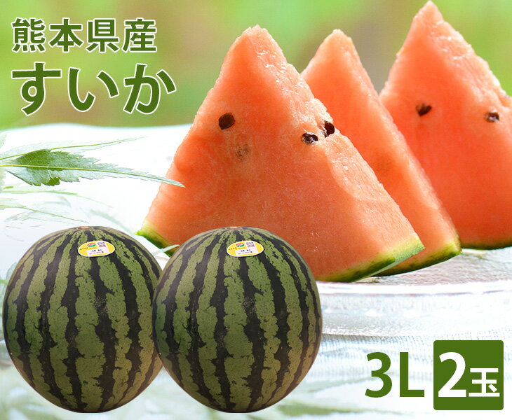 【送料無料】熊本県産 熊本すいか 3Lサイズ 2玉【国産 熊本 熊本産 スイカ すいか Lサイズ お中元 西瓜 高級 プレゼント 夏 スイカ割り 海 プレミアム 特別 高級 ギフト 贈り物 贈答 フルーツ お取り寄せ うまい 果物】