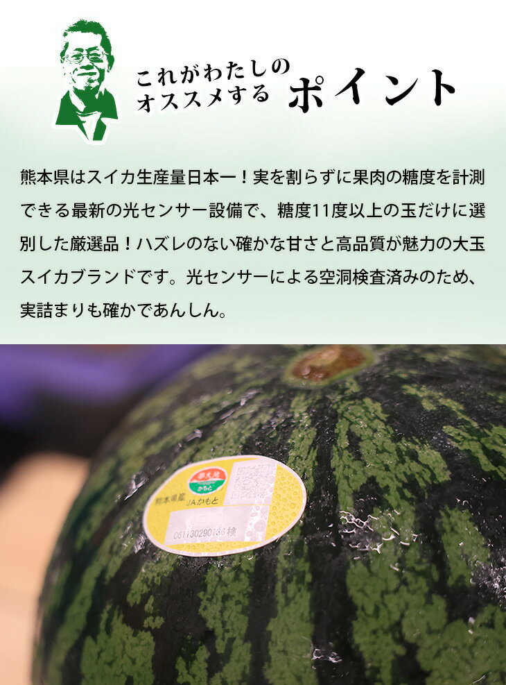 【送料無料】熊本県産 熊本すいか 2Lサイズ 1玉【国産 熊本 熊本産 スイカ すいか Lサイズ お中元 西瓜 高級 プレゼント 夏 スイカ割り 海 プレミアム 特別 高級 ギフト 贈り物 贈答 フルーツ お取り寄せ うまい 果物】