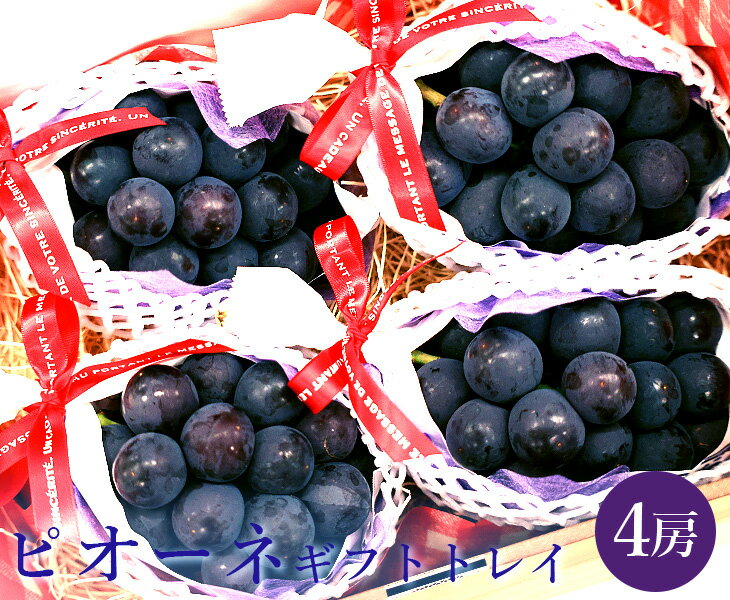【送料無料】ピオーネ ギフトボックス4房入り 【ピオーネ ぶどう ブドウ 葡萄 ギフト セット 家庭用 贈..