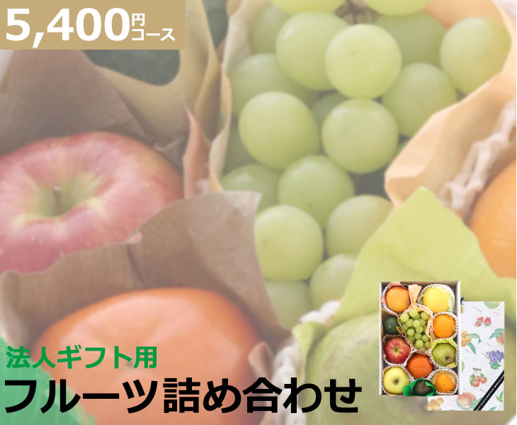 法人向け 詰め合わせフルーツギフト 5400円コース 送料無料ギフト フルーツギフト 法人 詰め合わせ 贈り物 お祝い お返し 誕生日 お礼 フルーツ 果物 お取り寄せ うまい 家庭用 母の日 父の日 お中元 お彼岸 敬老 お年賀 お歳暮 ギフト 進物 お見舞い