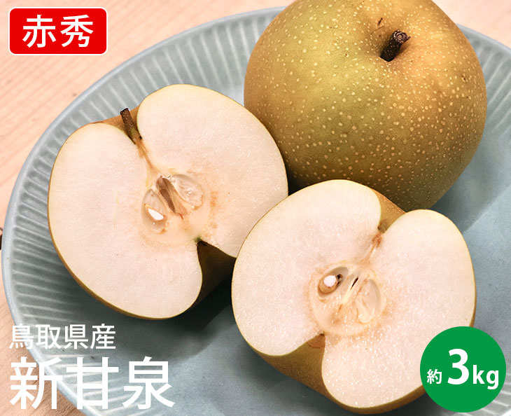 【送料無料】鳥取県産 新甘泉　赤秀【約3kg 7〜11玉入】【 なし ナシ 梨 JA全農とっとり うまい お取り寄せ 旬 贈答用 贈り物 ギフト 進物 フルーツ お取り寄せ うまい 果物】