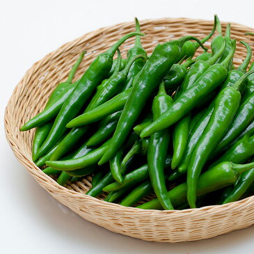 【青唐辛子450g 青唐辛子 激辛 韓国調味料 調味料 韓国食品】